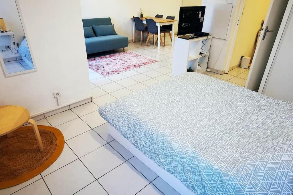 Grand Studio Lumineux Et Sa Terrasse Au Calme Toulouse Ngoại thất bức ảnh