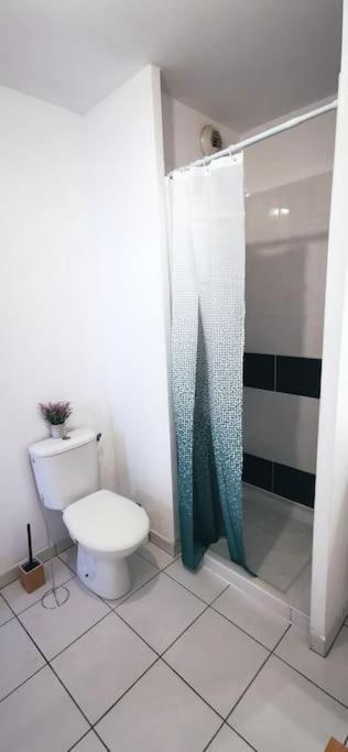 Grand Studio Lumineux Et Sa Terrasse Au Calme Toulouse Ngoại thất bức ảnh