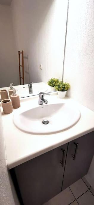 Grand Studio Lumineux Et Sa Terrasse Au Calme Toulouse Ngoại thất bức ảnh