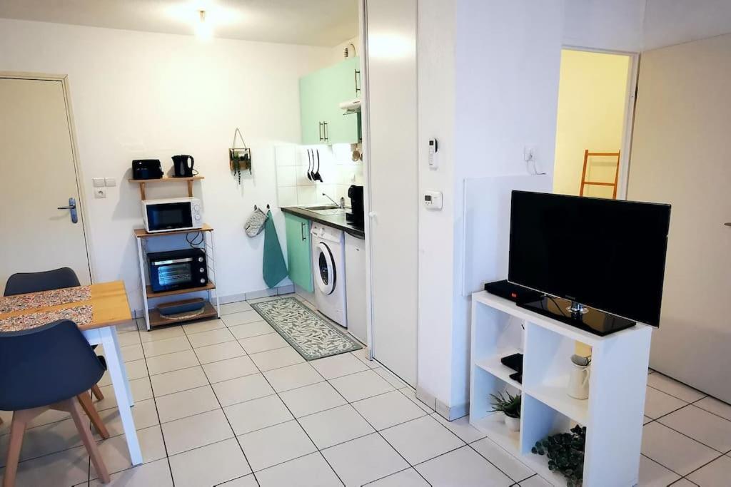 Grand Studio Lumineux Et Sa Terrasse Au Calme Toulouse Ngoại thất bức ảnh