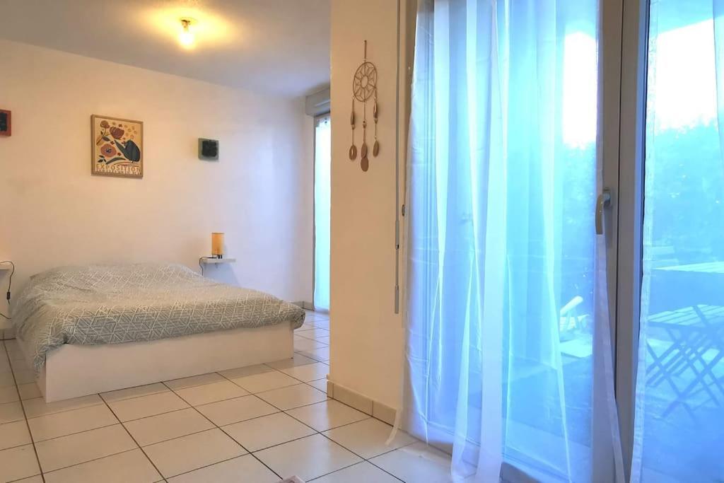 Grand Studio Lumineux Et Sa Terrasse Au Calme Toulouse Ngoại thất bức ảnh