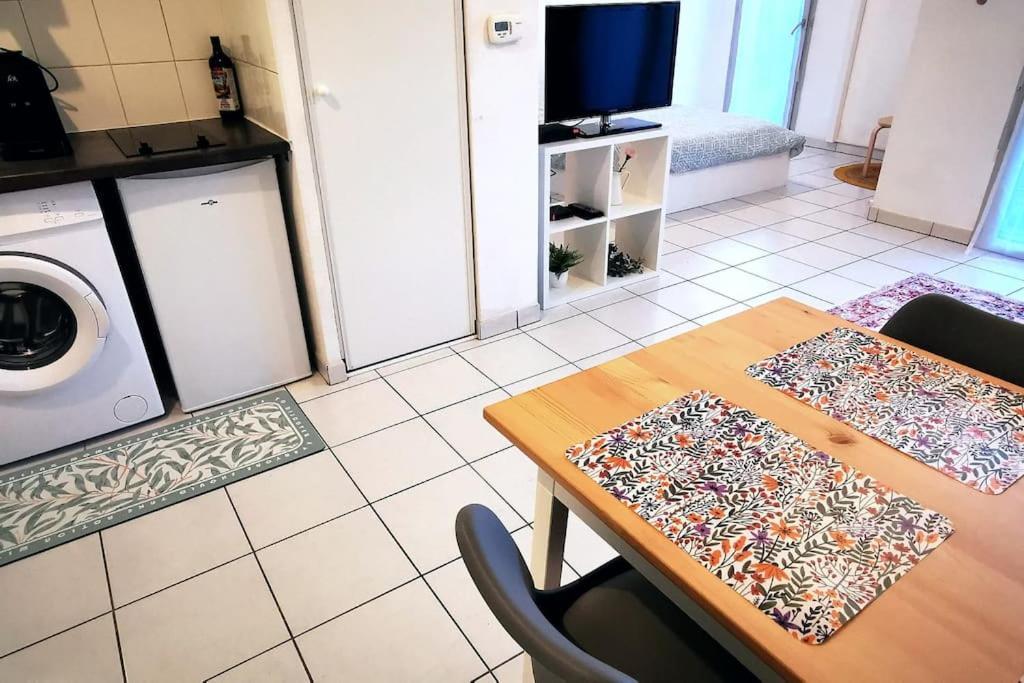 Grand Studio Lumineux Et Sa Terrasse Au Calme Toulouse Ngoại thất bức ảnh
