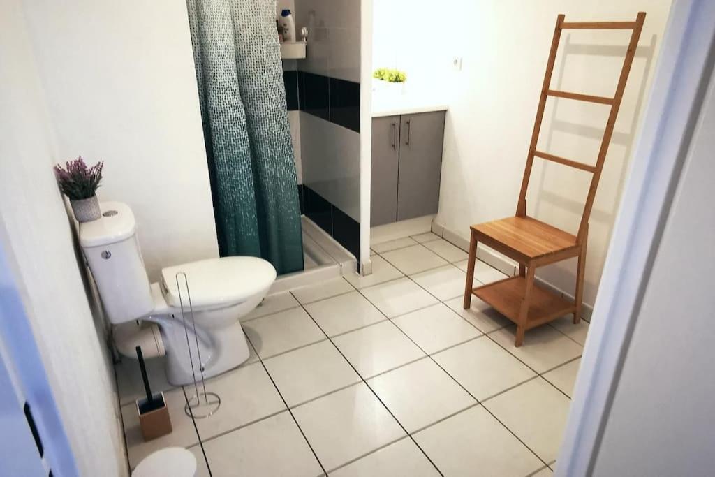 Grand Studio Lumineux Et Sa Terrasse Au Calme Toulouse Ngoại thất bức ảnh