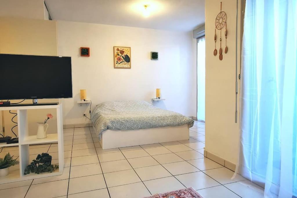 Grand Studio Lumineux Et Sa Terrasse Au Calme Toulouse Ngoại thất bức ảnh