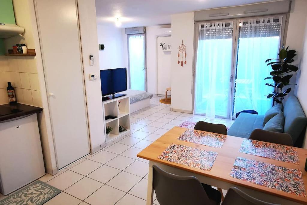 Grand Studio Lumineux Et Sa Terrasse Au Calme Toulouse Ngoại thất bức ảnh