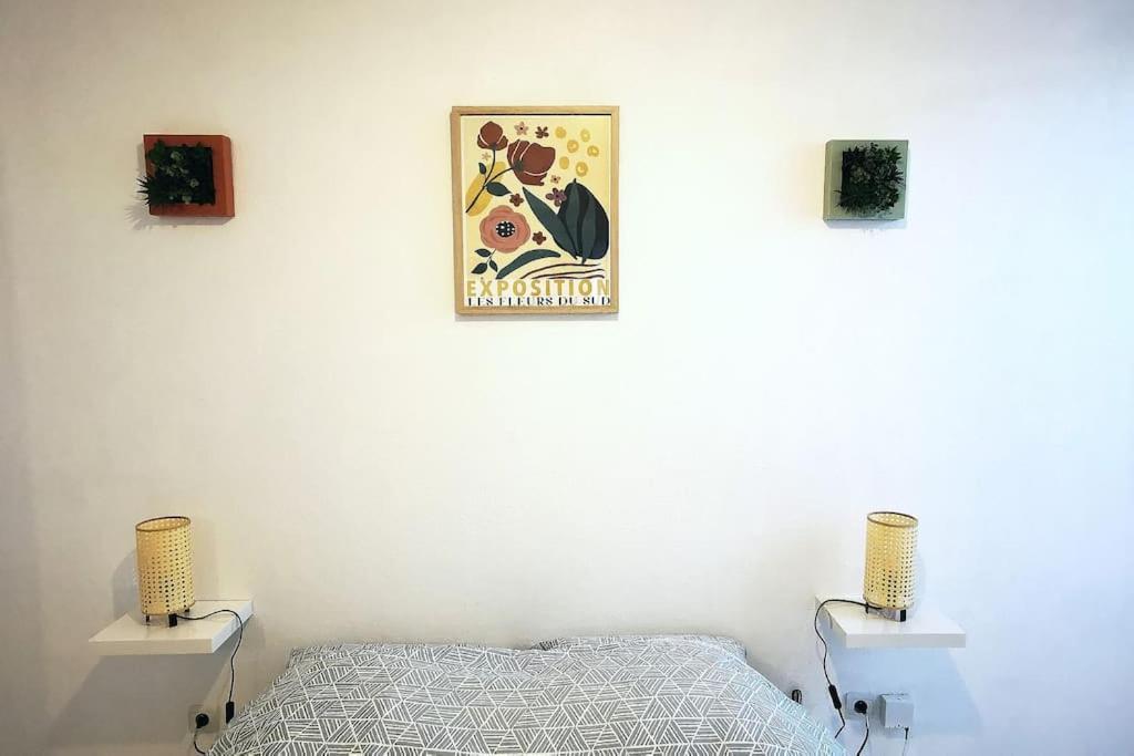 Grand Studio Lumineux Et Sa Terrasse Au Calme Toulouse Ngoại thất bức ảnh