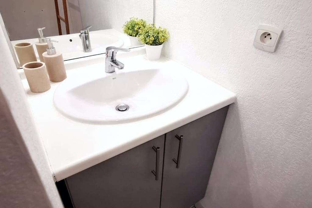 Grand Studio Lumineux Et Sa Terrasse Au Calme Toulouse Ngoại thất bức ảnh