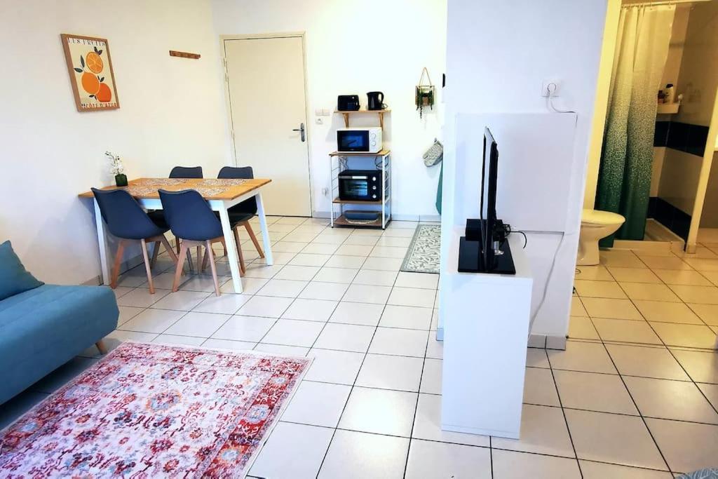 Grand Studio Lumineux Et Sa Terrasse Au Calme Toulouse Ngoại thất bức ảnh