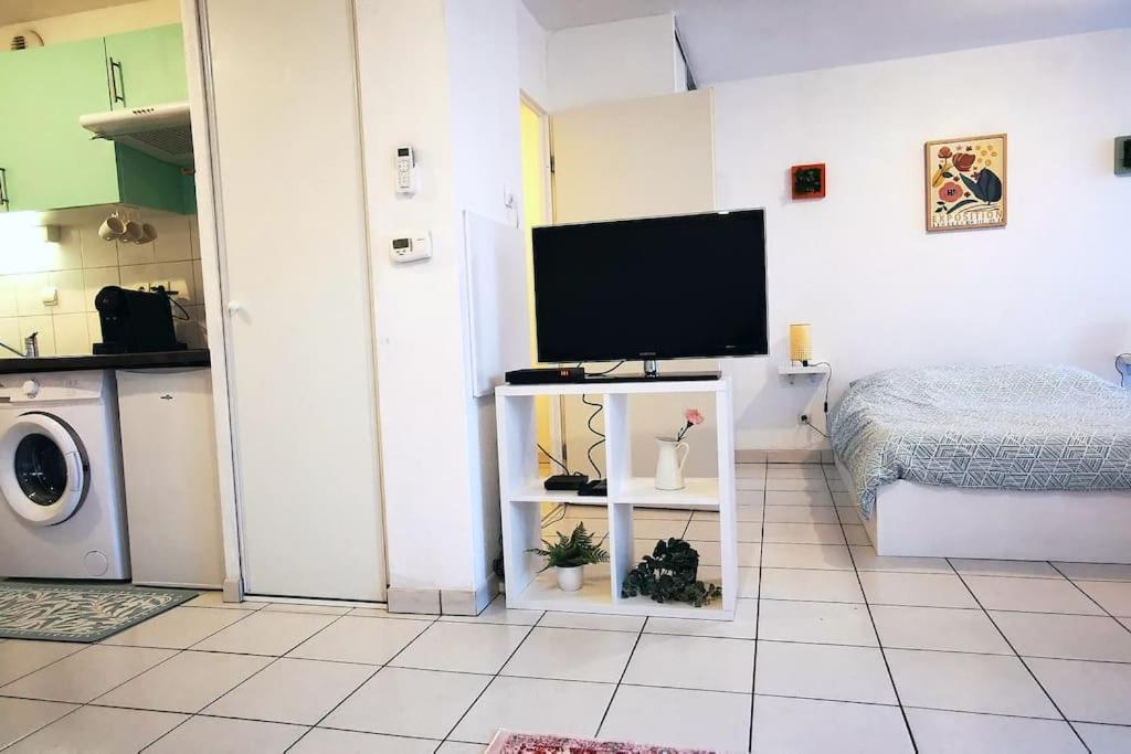 Grand Studio Lumineux Et Sa Terrasse Au Calme Toulouse Ngoại thất bức ảnh