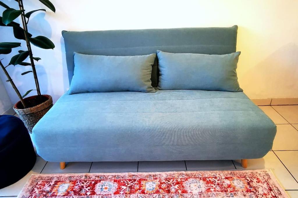 Grand Studio Lumineux Et Sa Terrasse Au Calme Toulouse Ngoại thất bức ảnh