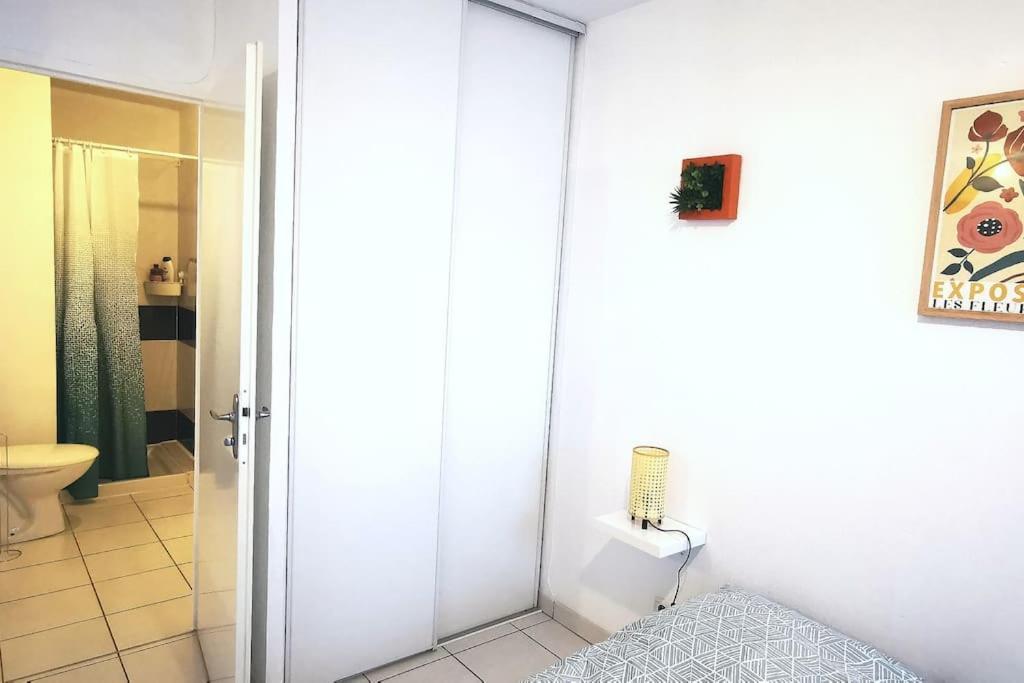 Grand Studio Lumineux Et Sa Terrasse Au Calme Toulouse Ngoại thất bức ảnh